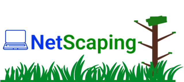 Netscaping Contact Logo